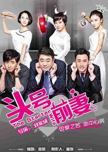 网络爆料前妻视频播放大全,前妻视频播放大全揭秘