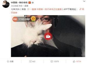网友视频事件大爆料,网友视频事件大爆料全记录